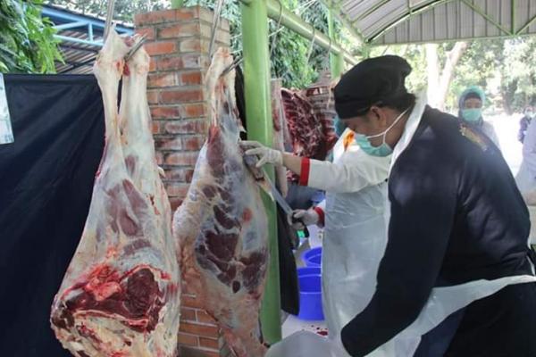 Penyesuaian itu salah satunya dengan menerapkan Peraturan Menteri Pertanian (Permentan) Nomor 114 Tahun 2014 tentang pemotongan hewan kurban.