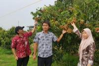Hendri Petani Muda Grobogan Sukses Kembangkan Kelengkeng Itoh