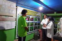  Klinik Pengendalian Hama Terpadu Medukung Pertanian Ramah Lingkungan