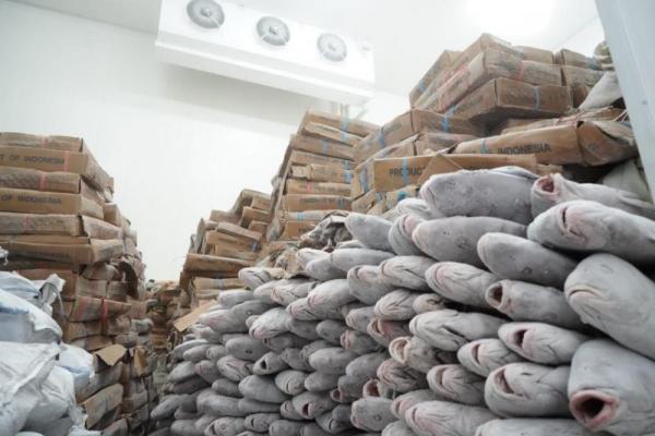 Nilanto Perbowo mengungkapkan fasilitas gudang beku (cold storage) berkapasitas 1.000 ton di Muara Baru, Jakarta Utara berhasil menembus pasar ekspor.