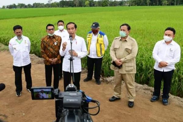 Provinsi Sumatera Utara memiliki potensi lahan yang dapat dikembangkan seluas 61.042 hektare tersebar di empat kabupaten, yakni Kabupaten Humbahas, Pakpak Barat, Tapanuli Tengah dan Tapanuli Utara.