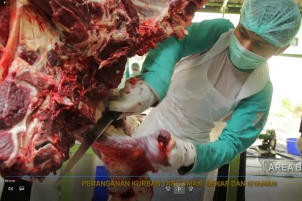 Adapun kewajiban yang harus diterpkan di tempat pemotongan hewan. Utamanya, daging hewan kurban harus memenuhi persyaratan Aman, Sehat, Utuh dan Halal (ASUH).