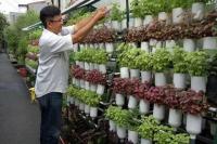 Duta Pertanian Perkotaan Ubah Jakarta Lebih Hijau dengan Urban Farming