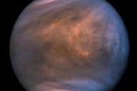 Astronom Temukan Potensi Kehidupan di Planet Venus