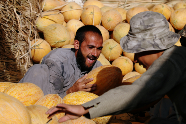 PBB memperingatkan, sekitar 22 juta warga Afghanistan atau setengah dari negara itu akan menghadapi kekurangan pangan akut di bulan-bulan musim dingin karena efek gabungan dari kekeringan yang disebabkanpemanasan global dan krisis ekonomi yang diperparah pengambilalihan Taliban.