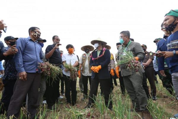 Bupati Kabupaten Bantaeng, Ilham Syah Azikin dalam sambutannya merasa bangga dan mendapatkan kehormatan atas kehadiran  Syahrul dan rombongan di sentra pengembangan bawang merah di daerahnya.