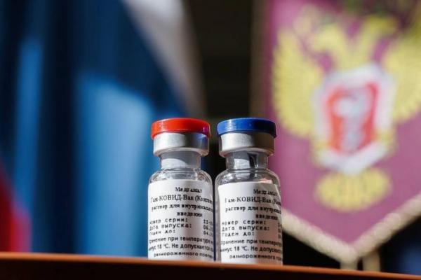 Banyak dari perwakilan negara tersebut sempat mengajukan pertanyaan mengenai vaksin Rusia, harga dan produksinya di negara lain kepada perwakilan Federasi Rusia.