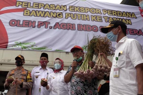 Sayangnya, petani Indonesia justru cenderung menjual bawang putih yang siung besar dengan dalih harganya lebih tinggi. Sedangkan yang siung kecil, sekitar 1 gram, dijadikan benih untuk budi daya.