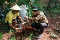 Dukung Program Kostratani, Sumenep Siapkan Pengembangan Kawasan Hortikultura