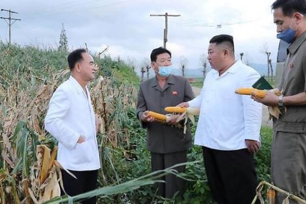 Korea Utara dilanda fenomena meteorologi yang menghancurkan musim panas ini dengan hujan lebat dan topan.