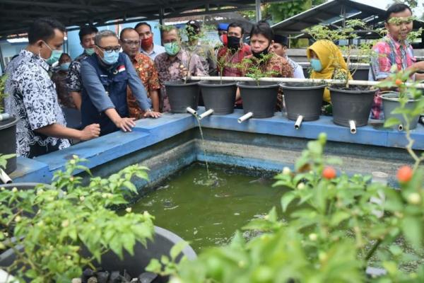 Terpantau 171 saham mengAdanya kawasan Minapolitan di Kabupaten Bogor merupakan salah satu bentuk keseriusan Pemerintah Daerah Kabupaten Bogor dalam mengembangkan budidaya ikan.uat, 113 saham melemah, dan 137 saham stagnan