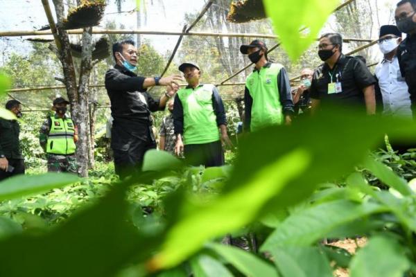 Desa Wonorego Kabupaten Malang memiliki luas lahan dua hektare untuk penakar benih. Dari luasan tersebut, saat ini sudah ada 30 ribu pohon alpukat yang siap dipanen.