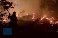 Langit Merah akibat Kebakaran Hutan, Diaspora Indonesia Cemas
