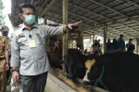 Kementan Dorong Akselerasi Pertanian Sukabumi dari Hulu hingga Hilir