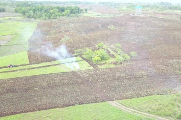 Luas lahan di Kecamatan Dadahup sendiri mencapai 2.000 hektare.