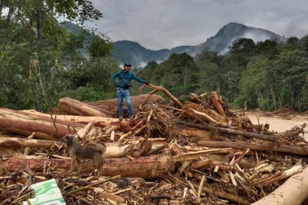 Camat Bahorok, Dameka Putra Singarimbun, Rabu malam menjelaskan, banjir bandang melanda 4 desa, yakni Desa Sampe Raya, Timbang Jaya, Timbang Lawan dan Desa Lau Damak bagian hilir.