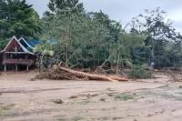 Banjir Bandang di Bukit Lawang Hanyutkan Sejumlah Ternak dan Villa 