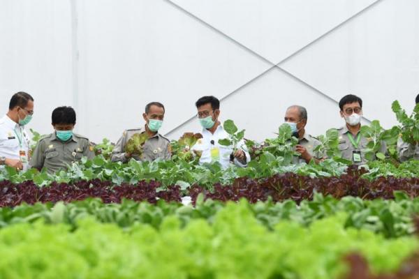 Kementan akan membangun 500 unit smart green house untuk tanaman hortikultura di seluruh Indonesia.