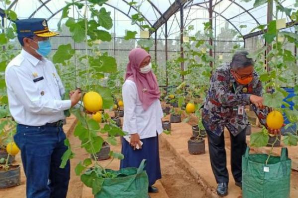 AEW merupakan langkah percepatan pemulihan ekonomi nasional di tengah pandemi Covid-19 melalui usaha tani yang dielaborasi dengan sektor pariwisata.
Kementerian Pertanian (