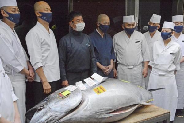 Seekor tuna sirip biru seberat 278 kg mencapai rekor 333,6 juta yen dalam lelang Tahun Baru pada 2019 ketika diadakan untuk pertama kalinya di Toyosu setelah relokasi pasar ikan utama Tokyo dari Tsukiji di dekatnya.
