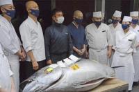 Imbas Pandemi, Harga Ikan Tuna Sirip Biru Jatuh di Jepang