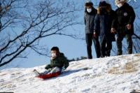 Resor Ski Tutup? Orang Korea Selatan Main Kerta Luncur di Dekat Rumah