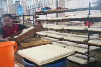 Tingkatkan Produksi Kedelai Dalam Negeri, Komisi IV Minta Kementan Lakukan Langkah Terukur