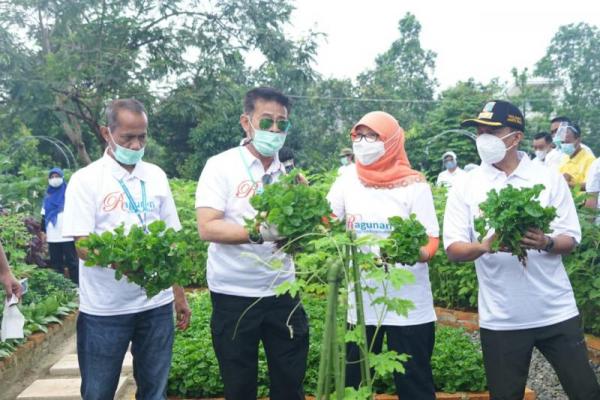 Kawasan AEW Ragunan merupakan kegiatan mengembangkan kawasan pertanian yang berperan sebagai kawasan produksi dan edukasi.