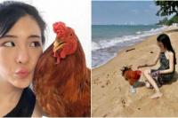 Gadis Ini Jadikan Ayam Itu Sebagai Hewan Peliharaan