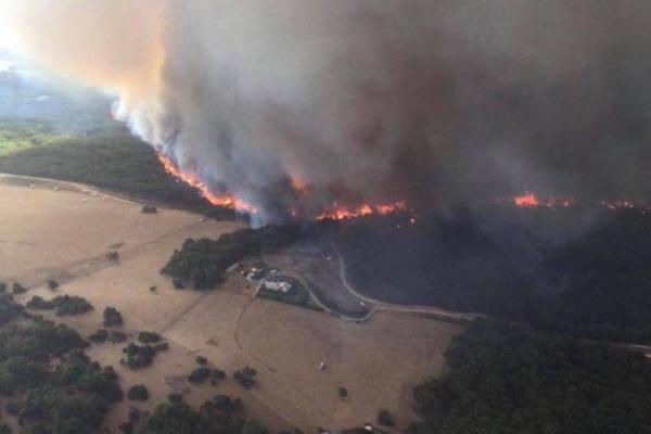 Pejabat kesehatan telah mendesak orang untuk tetap di dalam dan menghindari aktivitas fisik, dan bagi mereka yang berada di dekat kebakaran hutan untuk menghindari menghirup asap
