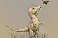 Ternyata Bayi Tyrannosaurus Hanya Seukuran `Anjing`