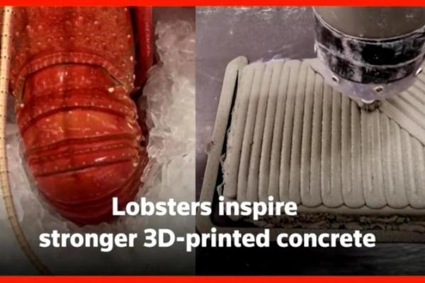 Diperkuat dengan serat baja, beton menjadi lebih tahan lama ketika diatur dalam pola yang meniru cangkang lobster.