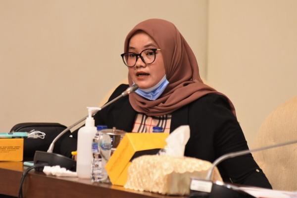 Anggota Komisi XI DPR RI Ela Siti Nuryamah menyoroti anggaran Penyertaan Modal Negara (PMN) tahun 2021 ini agar bisa digunakan secara efektif.