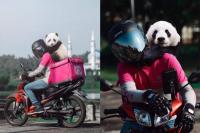 Seorang Driver Foodpanda Bawa `Panda` di Hari Terakhir Kerja
