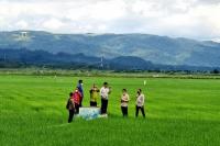 Dukung Food Estate Sumba Tengah, Universitas Cendana Minta Mahasiswa dan Dosen Ikut Bantu