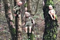 Wanita Ini Syok! Usai Lihat Banyak Boneka Misterius Dipaku di Hutan