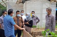Kementan-Taiwan Technical Mission Lakukan Pendampingan Petani di Karawang