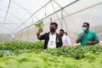 Mentan Syahrul Panen Bayam di Green House Pondok Pesantren Al-Ghazali