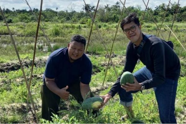 Berdasarkan data Badan Pusat Statistik, sektor pertanian pada kuartal ke empat, 2020, tercatat tumbuh sebesar 2,59 persen secara year on year.