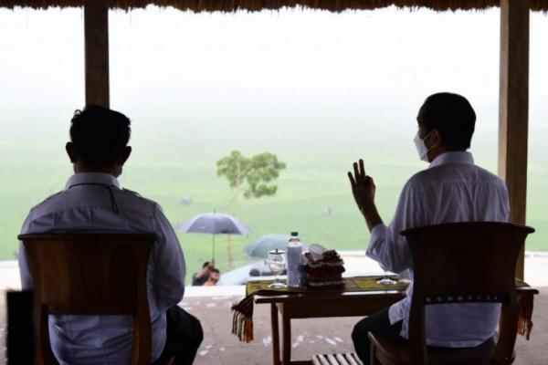 Diguyur hujan lebat, Presiden Jokowi meninjau areal persawahan