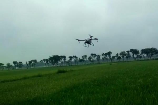  Petani yang selama ini melakukan proses pembasmian hama dengan cara manual, kini beralih memanfaatkan drone untuk membasi hama.