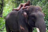 Berpose Telanjang Di atas Gajah Yang Terancam Punah, Model Ini Banjir Hujatan