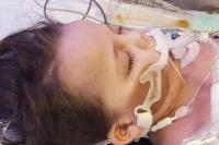 Bocah Ini Meninggal Usai Telan Paku Payung untuk Poster Home-Schooling