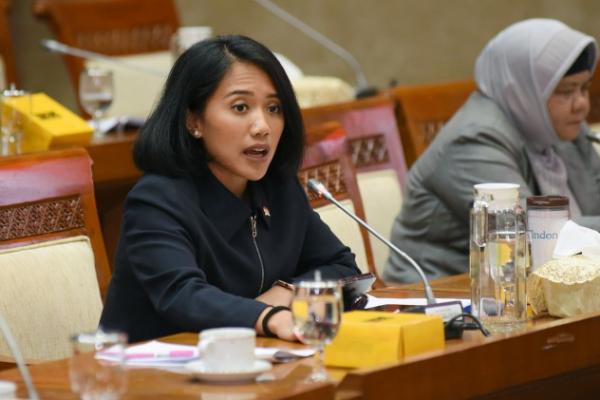 Anggota Badan Kerja Sama Antar Parlemen (BKSAP) DPR RI Puteri Anetta Komarudin mendorong Pemerintah Indonesia untuk berperan aktif dalam langkah penyelesaian konflik Palestina-Israel.
