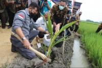 Perkuat Perekonomian, Mentan SYL Gerakan Padat Karya di Karanganyar