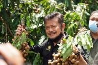 Syahrul Dorong Pengembangan Kawasan Buah Lokal di Setiap Daerah