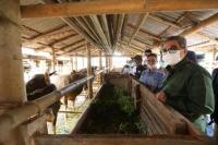 Kementan Komitmen Fasilitasi Industrialisasi Peternakan NTB