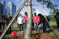 Ternyata Ini yang Bikin Ibu Risma Bersemangat Nanam Pohon di GBK