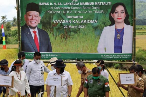 Keputusan Presiden Joko Widodo untuk tidak mengimpor beras sampai Juni 2021, disambut baik Ketua DPD RI, AA LaNyalla Mahmud Mattalitti. 