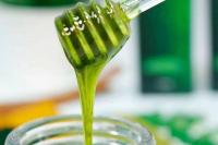 6 Makanan dan Minuman Ampuh untuk Redakan Keracunan